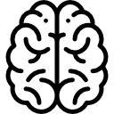 cerveau nb
